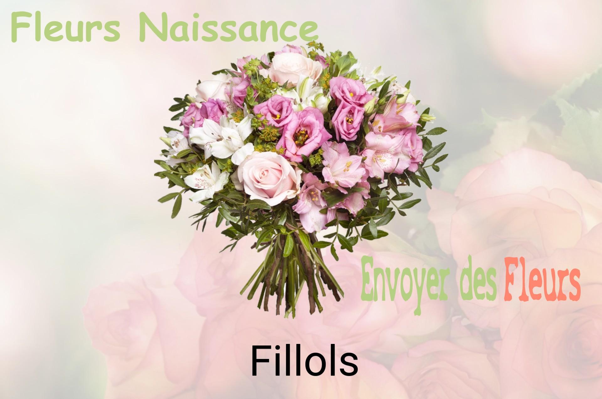 Bouquet de fleurs de naissance livré à Fillols