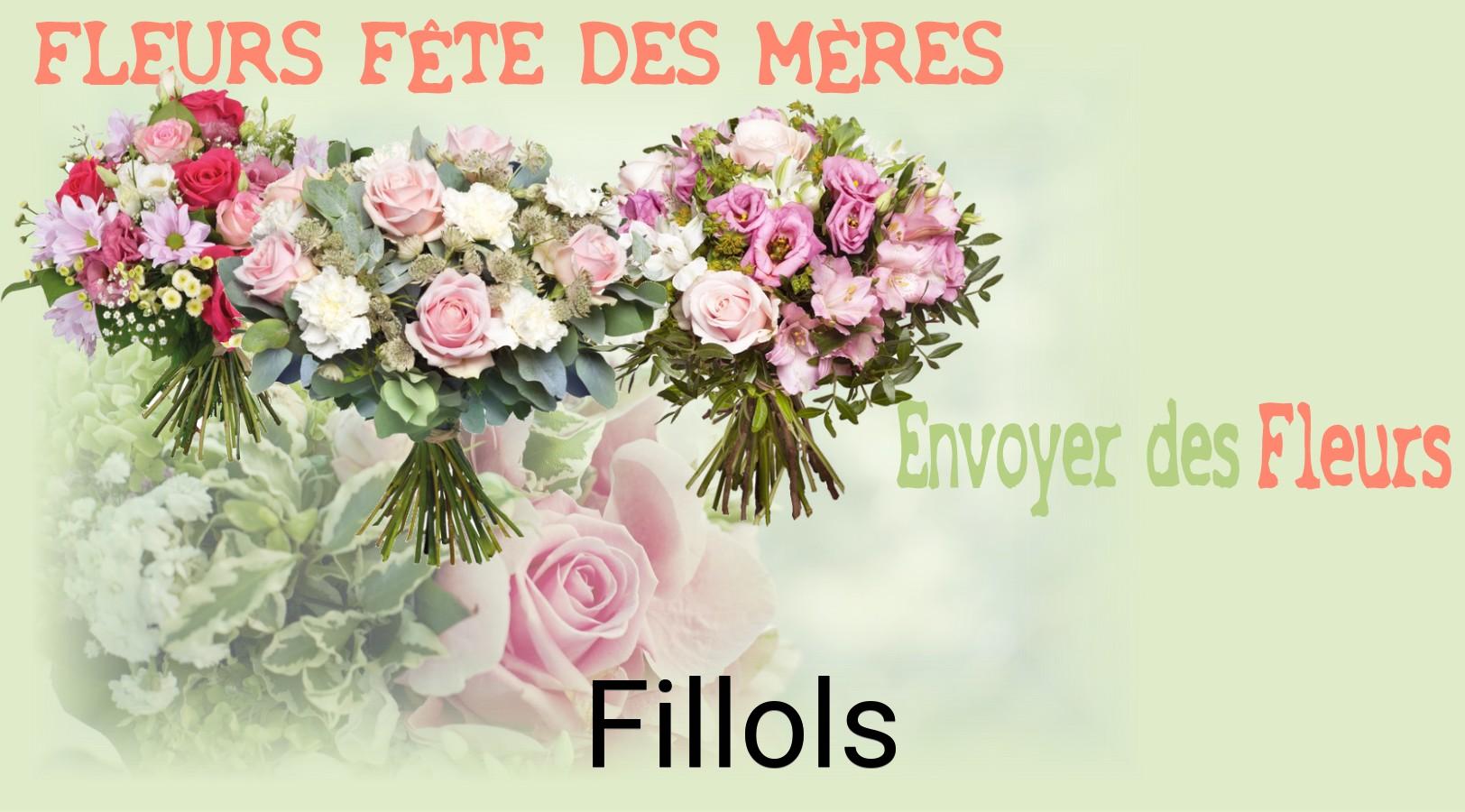 Bouquet de Fête des Mères livré à Fillols